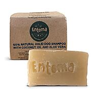 Hydrating shampoo bar for dog with coconut oil and aloe vera - Entoma Petfood