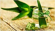 Homemade Aloe Vera Oil : घने और लंबे बालों के लिए करें होममेड एलोवेरा ऑयल का इस्तेमाल | Homemade Aloe Vera Oil : Use ...