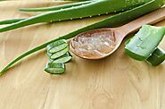 Aloe Vera Oil: लंबे बालों और ग्लोइंग स्किन के लिए घर पर बनाएं एलोवेरा का तेल, यहां जानें तरीका