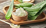 Benefits Of Aloe Vera + How To Use It For Your Hair? – Vedix