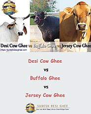 Desi Cow Ghee vs Buffalo Ghee vs Jersey Cow Ghee - SureshDesiGhee by SureshDesiGhee - Issuu