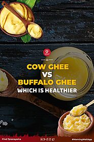 Cow Ghee vs Buffalo Ghee Which is Healthier - 7pranayama.com | Cow ghee, Ghee, Healthy