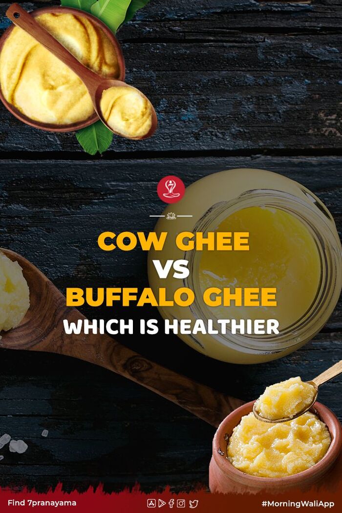 Buffalo Ghee Benefits And Side Effects A Listly List