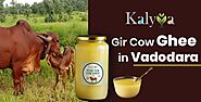 Gir Cow Ghee in Vadodara, A2 Gir Cow Ghee in Vadodara | Kalyya Farms