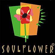 Soulflower Sesame Oil Coldpressed, 225ml