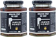 Buy Himalayan Street Raw Honey 100% Natural Unprocessed Raw Jamun Honey 500g x 2 Pack Online at Low Prices in India -...