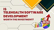 Is Telehealth Software Development Worth The Investment? - Stride Post