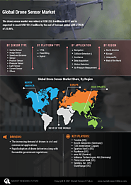 Drone Sensor Market, by Sensor Type (Inertial Sensor, Image Sensor, Speed and Distance Sensor, Position Sensor, Press...