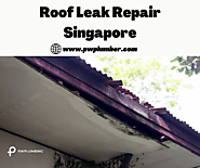 Roof Leak Repair Singapore - PW Plumbing