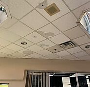 Ceiling tiles leaking repair Services - PW Plumbing Services