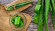 Benefits of Aloe Vera for Hair, Skin, & Health: Best Uses of Aloe Vera | VOGUE India | Vogue India