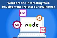 What are the Interesting Web Development Projects For Beginners?