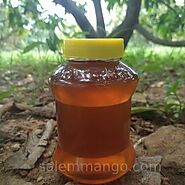Honey: Buy Pure Raw Organic Honey Online at Best Price from tribes - Salemmango