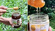 Made in India: 10 Indian honey brands that are keepin’ it sweet | Condé Nast Traveller India