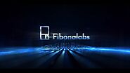 2021 Highlights | Fibonalabs