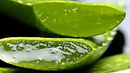 How to Make Homemade Aloe Vera Gel in 15 Minutes With 1 Ingredient - Utopia