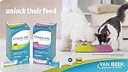 Free Sample Of Synacore Probiotic For Your Pet (US only)