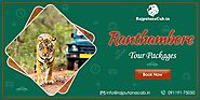 Jaipur Ranthambore Tour Packages