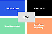 Identity and Access Management Services | Identity and Access Management Consultant | Rivalime