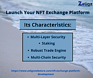 NFT Exchange Platform and Its Characteristics