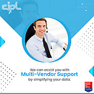 Multi-Vendor Support Services