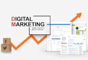 Digital Marketing & web design Services Company | widefy
