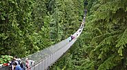 Walk the Capilano Suspension Bridge