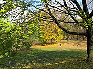 Dufferin Grove Park