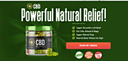 Joyce Meyer CBD Gummies Reviews {Natural Relief} – Use and Better Experiences for you {New Updates} – LexCliq