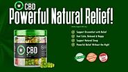 Joyce Meyer CBD Gummies Reviews {Update 2022}- Benefits,Ingredients,Side Effects and more other things! – LexCliq