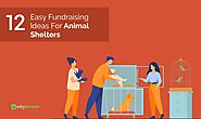 12 Easy Fundraising Ideas For Animal Shelters