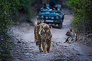 ranthambore tour packages