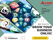 Social Media Marketing - Acme IT Solution