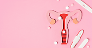 What is Menstruation (female cycle)?