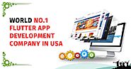 World No.1 Flutter App Development Company in USA