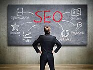 Why do you need a professional seo expert in Michigan?