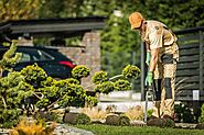 How to Choose the Right Landscape Contractor in Edmonton?