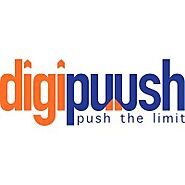 Social Media Marketing services India | SMO services | Digipuush