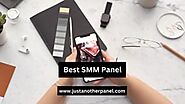 Just how to Pick the Right SMM Panel for Your Organization