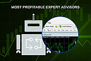 ᐈ Most Profitable EA • Best Forex Robots with High Profitability