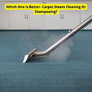 Which One Is Better For Carpet Steam Cleaning or Shampooing?: deepshinecleani — LiveJournal