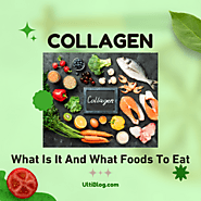Collagen Food Sources