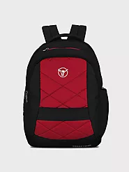 Cool Men's Backpacks for laptop and office