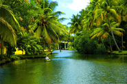 Kottayam Tourism - Get up close with beauty of nature