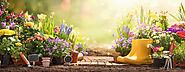 Get Your Garden Ready For Spring - Pressure Pump Solutions Ltd.