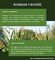 Biomasa y Biogás by Alejandro Ruiz Mazzeo - Issuu