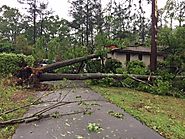Severe Storm Damage in Aiken