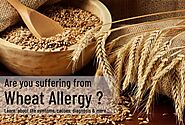 Wheat Allergy - Symptoms, Causes, and Treatment