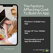 What Influences The Cost Of App Development? Code Brew Labs