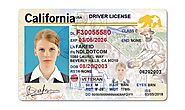 California Driver License - Buy Fake ID and Driver License For USA , UK and EU